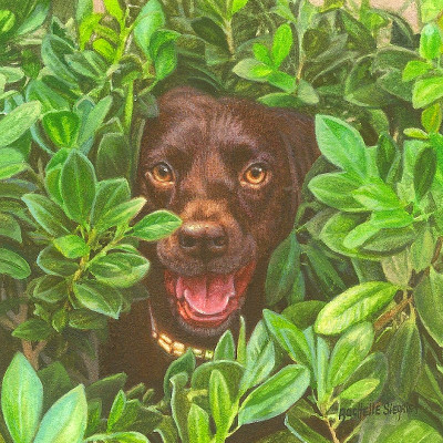 Commissioned Chocolate Lab Painting by Rachelle Siegrist