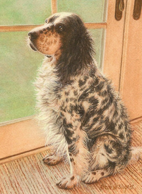 Commissioned Dog Painting by Rachelle Siegrist
