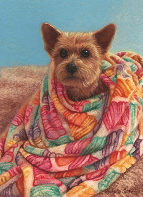 Commissioned Yorkie Painting by Rachelle Siegrist