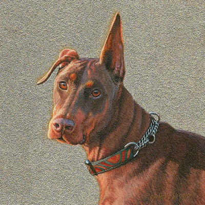 Commissioned miniature painting of an Doberman by Rachelle Siegrist