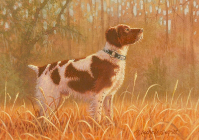 Commissioned Brittany Spaniel Painting by Rachelle Siegrist