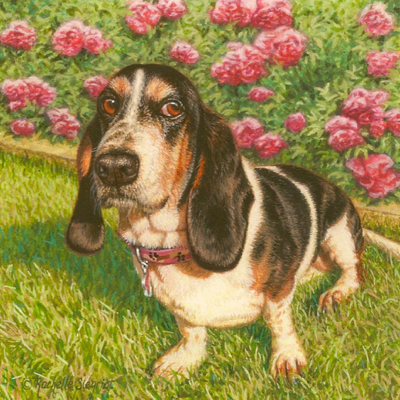 Commissioned miniature painting of a Basset Hound by Rachelle Siegrist