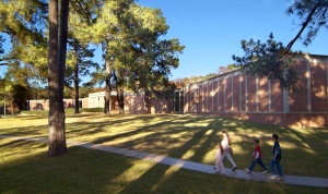 R.W. Norton Art Gallery in Shreveport, LA