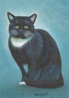 Commissioned miniature painting of cat