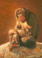 miniature painting of a chimpanzee