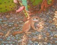 watercolor wildlife painting of a sonoran roundtable ground squirrel