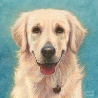 miniature painting of an English Retriever