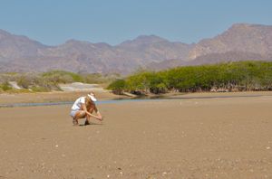 Rachelle Siegrist in the Estero De Soldado in Mexico.