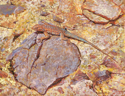 miniature painting of a Side-blotched Lizard by Wes Siegrist