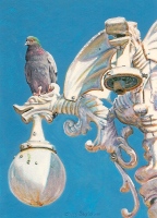 Pigeon Painting