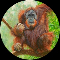 miniature painting of an orangutan