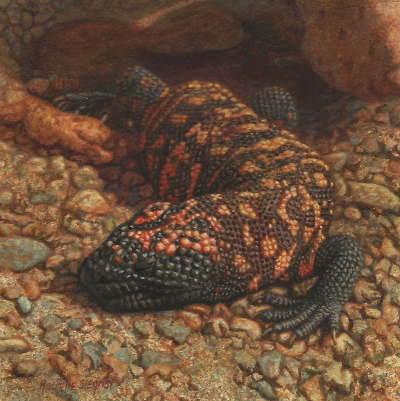 miniature painting of a Gila Monster by Rachelle Siegrist
