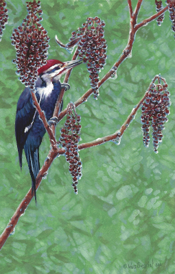 miniature painting of a pileated woodpecker by Wes Siegrist