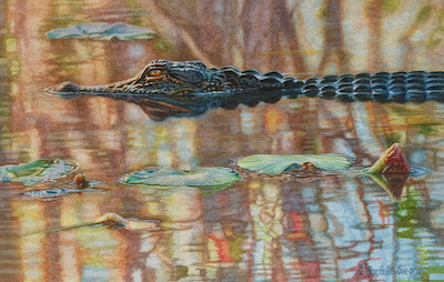 miniature painting of an American Alligator by Rachelle Siegrist