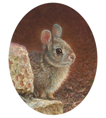 miniature painting of Rabbit by Rachelle Siegrist