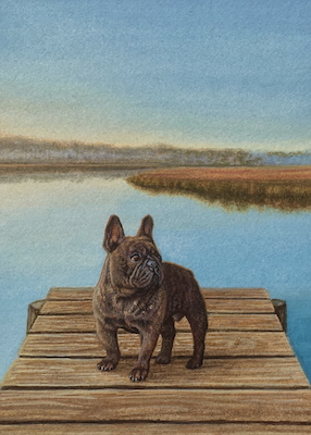Commissioned miniature painting of a dog by Rachelle Siegrist