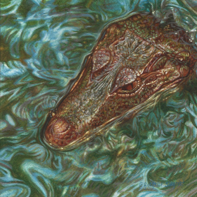 miniature painting of a Cuvier's Dwarf Caiman by Rachelle Siegrist
