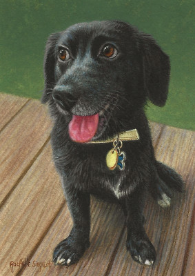 Commissioned Dog Painting by Rachelle Siegrist