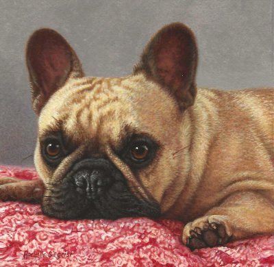 French BullDog Painting by Rachelle Siegrist