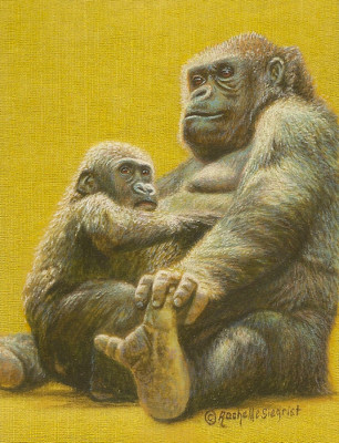 miniature painting of gorillas by Rachelle Siegrist