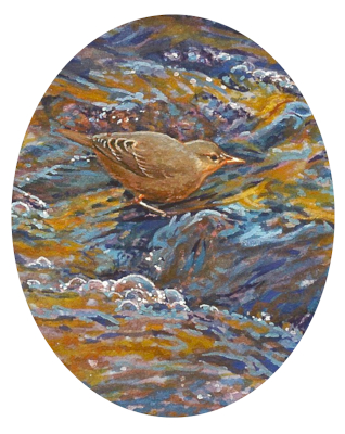 miniature painting of an American Dipper by Wes Siegrist