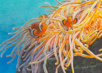 miniature painting of clownfish by Wes and Rachelle Siegrist