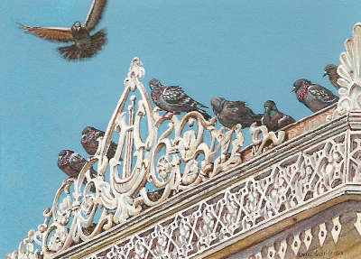 Pigeon Painting by Wes Siegrist by Wes Siegrist