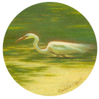 miniature painting of a great egret by Rachelle Siegrist