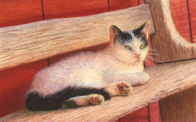 miniature painting of cat by Rachelle Siegrist