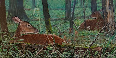 painting of deer by Wes Siegrist