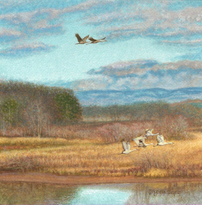 Miniature Painting of Sandhill Cranes by Rachelle Siegrist