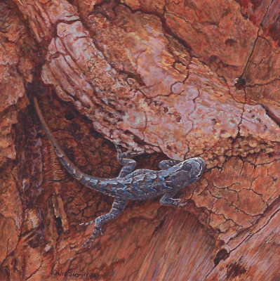 miniature painting of a Southwestern Fence Lizard by Wes Siegrist