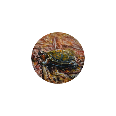miniature wildlife painting of a box turtle by Wes Siegrist
