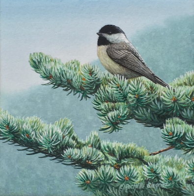 chickadee painting by Rachelle Siegrist