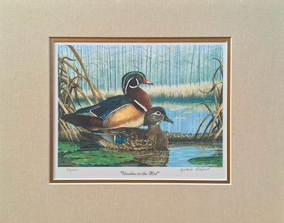 Reproduction of a painting of Wood Ducks by Rachelle Siegrist