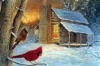 Watching Over the Olivers