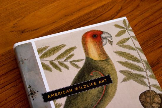 American Wildlife Art Book