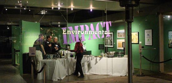 ENVIRONMENTAL IMPACT Exhibition Photo