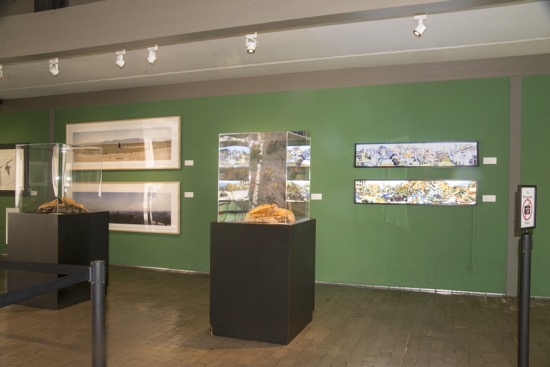 ENVIRONMENTAL IMPACT Exhibition Photo