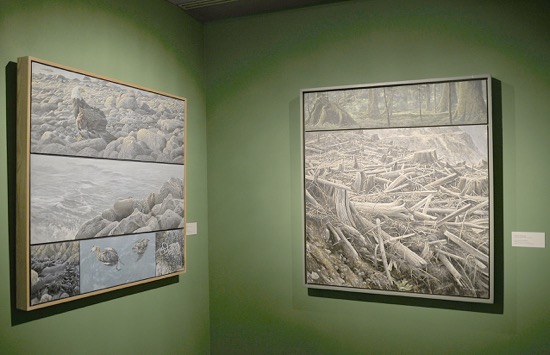 ENVIRONMENTAL IMPACT Exhibition Photo