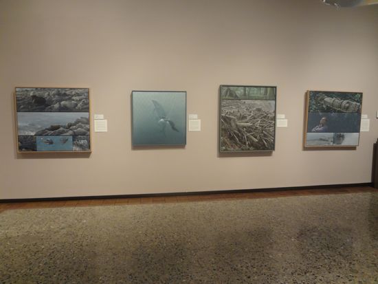 ENVIRONMENTAL IMPACT Exhibition Photo