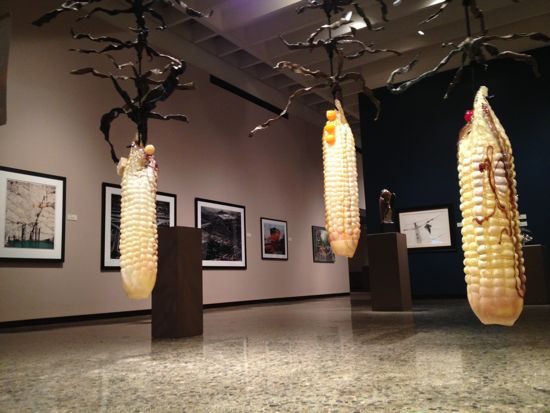 ENVIRONMENTAL IMPACT Exhibition Photo