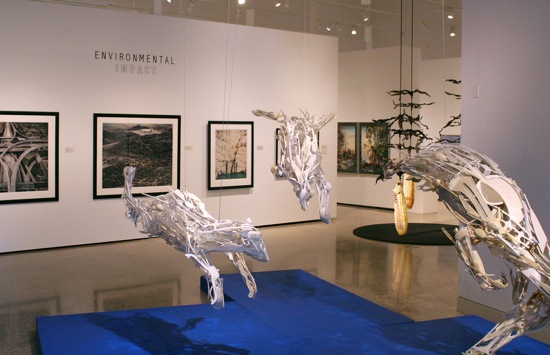 ENVIRONMENTAL IMPACT Exhibition Photo