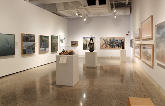 ENVIRONMENTAL IMPACT Exhibition Photo