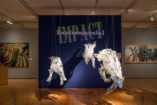 ENVIRONMENTAL IMPACT Photo