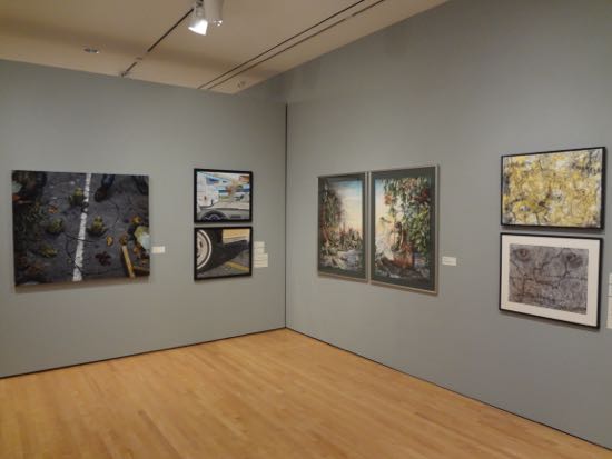 ENVIRONMENTAL IMPACT Exhibition Photo