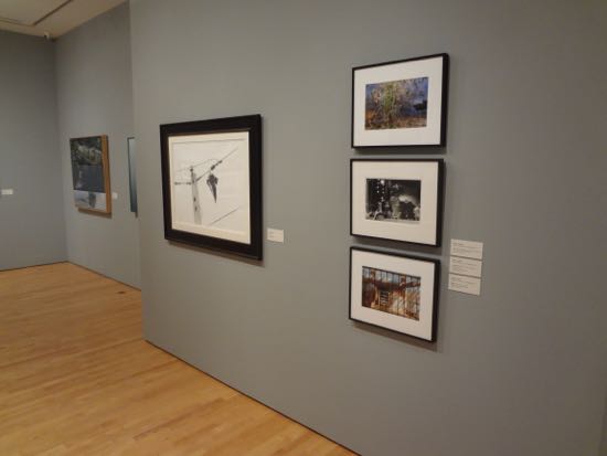 ENVIRONMENTAL IMPACT Exhibition Photo