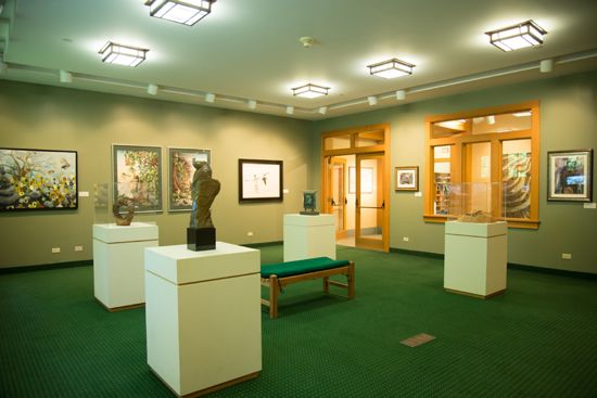 ENVIRONMENTAL IMPACT Exhibition Photo