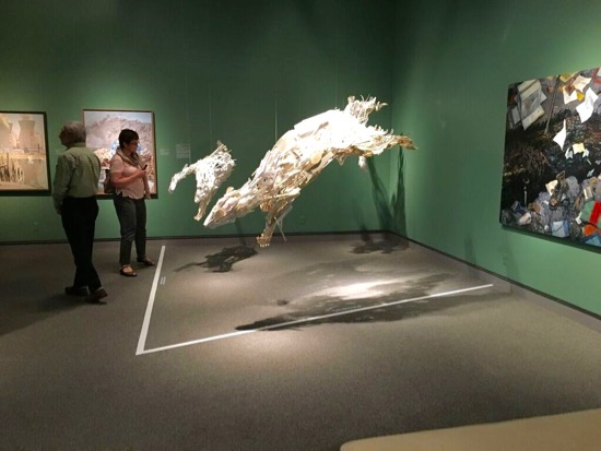 ENVIRONMENTAL IMPACT Photo