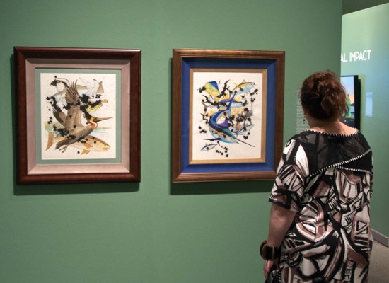 ENVIRONMENTAL IMPACT Photo